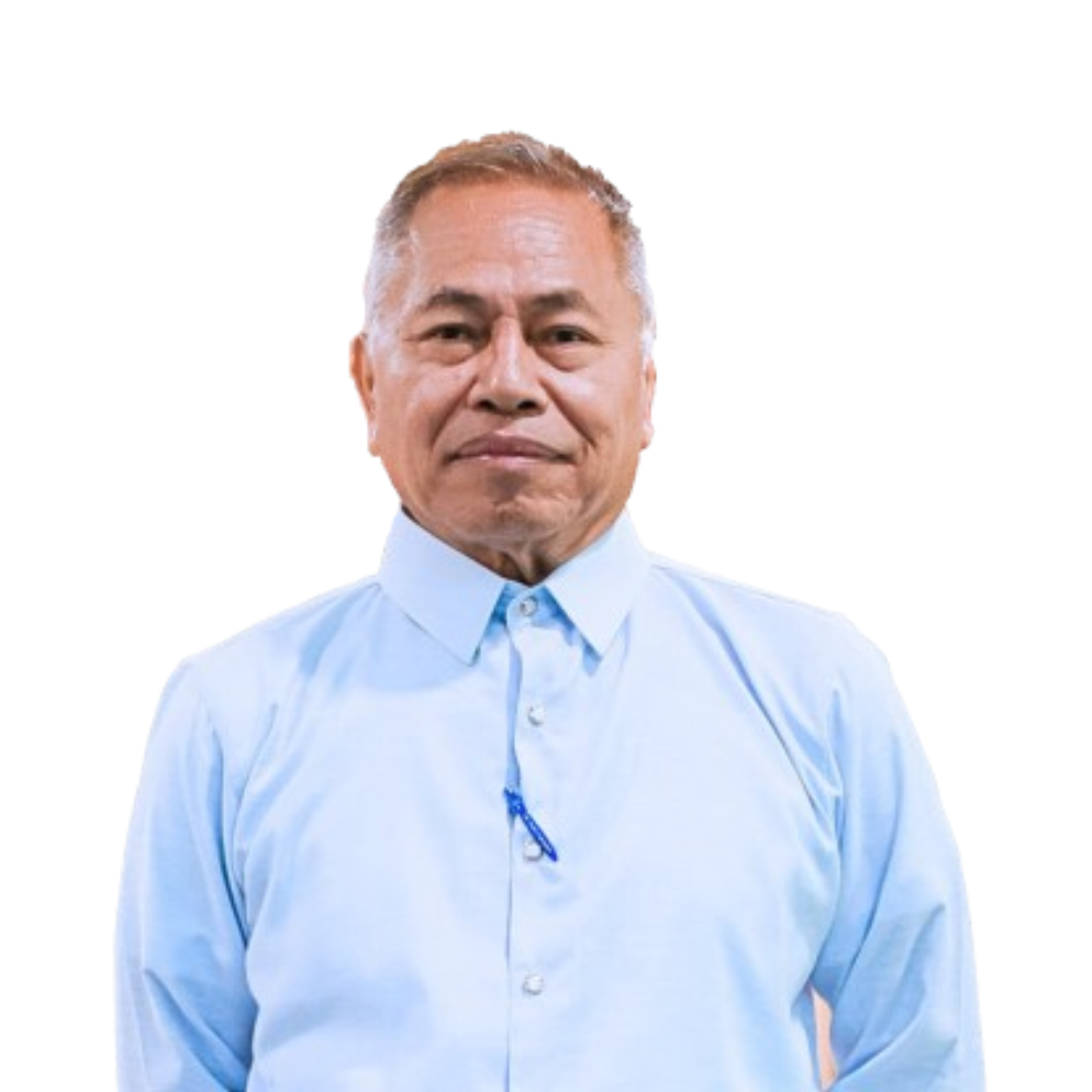 Engr. Nestor F. Aliman
